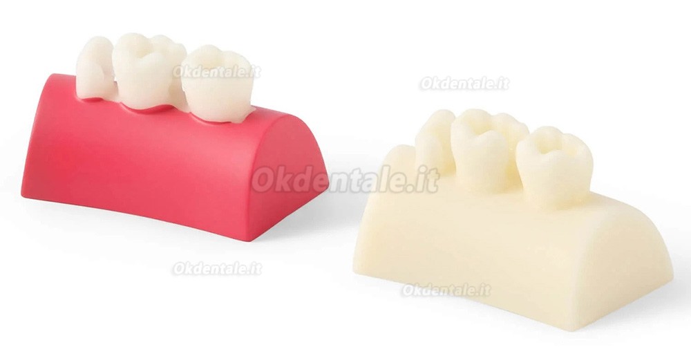 Blocco di esercizi per intarsi dentali, otturazione in resina composita